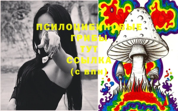 первитин Нея